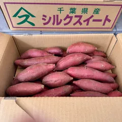 サイズ•産地お任せ　シルクスイート　箱込み5kg SML丸　千葉県茨城県等　国産