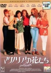 [중고] 목련 꽃들 콜렉터스 에디션 [렌탈 떨어짐] [DVD]