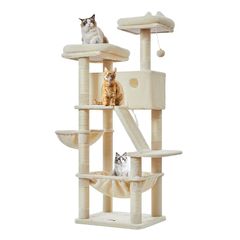 Item thumbnail for item 308772fd-e22e-48ca-bb43-67bde3636322