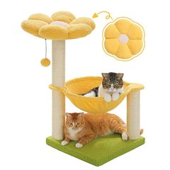 Item thumbnail for item 9c2580d4-8ffa-47da-a679-df8846543f82