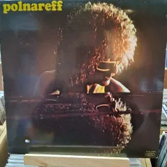 Polnareff ポルナレフ LP ビニール