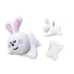 【新品】 エスケイジャパン たべっ子どうぶつ すやすや パスケース うさぎ 0