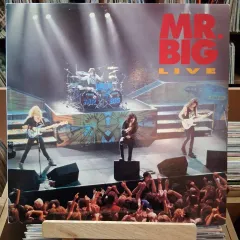 収集価値 ミスター BIG ライブ LIVE CD LP 記録