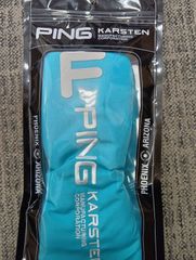 Item thumbnail for item 5777c30c-22b5-4065-9297-22abfc1d6f7b