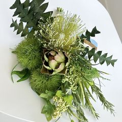 花芽付き】グレビレア・バンクシー・アルバ｜気品あふれる純白の