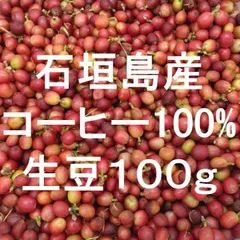 希少！【100％石垣島産コーヒー生豆100g入】☆栽培期間中無農薬栽培☆必見 国産コーヒー 沖縄産コーヒー 石垣島あらまんだ農園のサムネイル