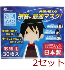 マスク 透明マスク 個包装 日本製 30枚入 4956525210195 ×2セット