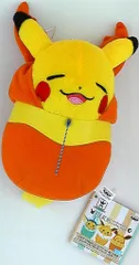 バンプレスト ピカチュウねぶくろコレクション ぬいぐるみ～シャワーズ・サンダース・ブースター～ ポッケットモンスター ブースター
