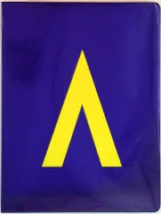 嵐 08年 AROUND ASIA in Tokyo パンフレット