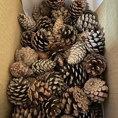 Item thumbnail for item 4a6f4c75-188e-4bfe-9a4b-bb8427536c3a