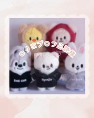 straykids SKZOO 10cmぬいぐるみ用コスチューム