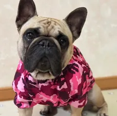 数量限定 ピンク迷彩スモック｜フレンチブルドッグ服｜犬服ハンドメイド