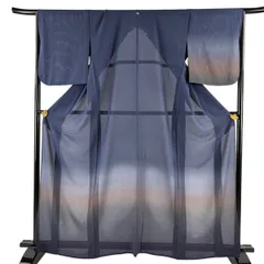 付下げ 身丈162.5cm 裄丈66cm M 薄物 絽 ぼかし柄 紺色 正絹 優品 一つ紋 【中古】