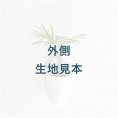 Item thumbnail for item 900f0c31-f1ad-45dd-a438-06c0ccaf8c4a