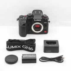 LUMIX GH6＋NOKTON 42.5mm＋パナライカ25mm＋リグセット 【公式通販】