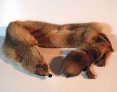 リアルファー　レディース襟巻　キツネ(顔、足付き)　387