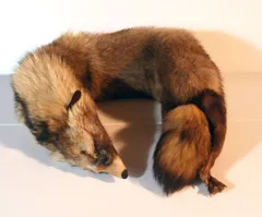 リアルファー　レディース襟巻　キツネ(顔、足付き)　388