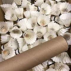 Item thumbnail for item d249e183-3edb-40cc-9687-8718cc6474d7