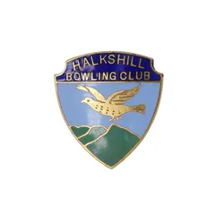 イギリス 羽ばたく鳥 HALKSHILL BOWLING CLUB ビンテージ ブローチ ローンボウルズ・クラブ ピンバッジ アクセサリー brooch-7870のサムネイル