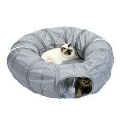 Item thumbnail for item 3190dc0e-816e-4711-aea4-a55ab4d6acbc