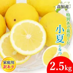 土佐小夏 家庭用 訳あり 特別木小夏 高知県 山北産 サイズ混合 2.5kg やまきた 小夏 柑橘 高知産 フルーツ ニューサマーオレンジ 日向夏 宅急便