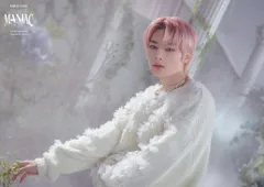 StrayKids 2023MANIAC ENCORE inJAPAN I.N トレーディングカード 3/8