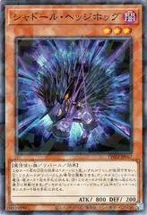 2026年最新】シャドール・ヘッジホッグの人気アイテム - メルカリ