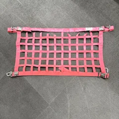 最終値下げ【難有り】デリカD5 SPYCE レーシングネット　ラゲッジネット