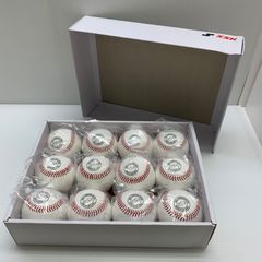 Item thumbnail for item fdf15718-b5e7-4c6d-a62c-dc392fd6e13d