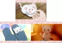 【中古】キャラカード C白桃 場面写ブロマイド3枚セット 「新しい上司はど天然 アニプレックス オンラインくじ 白桃くじ」 E賞のサムネイル