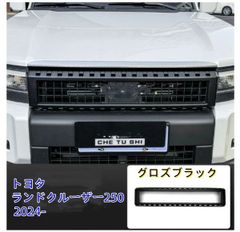 ラジエーターカバー ジェイド250 かっぺ 空冷オイルクーラーのような