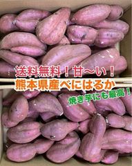 国産限定茨城県産 べにはるか 干し芋 切り落とし 柔らかい ねっとり箱