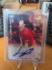 25 - 26 コボ カーボン 韓国電力 書斎ダック ベース オート カード