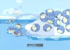 [Used] Clear File - Spheal A4 Clear File - Pokemon Ecology Encyclopedia "Pocket Monsters" Pokemon Center Limited Edition