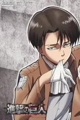 【中古】キャラカード リヴァイ・アッカーマン(スタンディングVer.) イラストカード 「月刊 進撃の巨人 公式フィギュアコレクション vol.7」 アニメイト購入特典