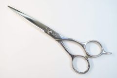 Item thumbnail for item bc572911-6d02-4fca-8101-7c741257d548