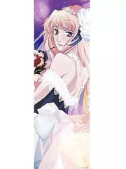 [중고] 퍼즐 셰릴 놈 ~ 리얼 스케일 ~ [극장판 마크로스 F 연리 날개 ~ 사요나라 노츠바사 ~] 지그 소 퍼즐 954 개 [81-081]