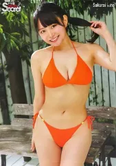【中古】ポスター 特大ポスター 桜井木穂 アサ芸Secret! Vol.81 応募者全員サービス