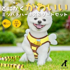 【新登場】ミツバチ ハーネス リード セット 犬 猫 兼用 小型犬 ペット用 軽量 ソフト メッシュ 通気性 かわいい おしゃれ ハチ柄 リード長さ120cm 散歩 おでかけ 春 夏 秋 冬 オールシーズン