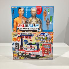 くるくる回そう!おすし屋さん 人体のふしぎ スケスケ人体プラモデル まとめ売り【送料無料】