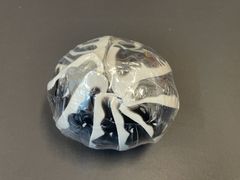 未使用 いきもの大図鑑アドバンス ダンゴムシ ゼブラダンゴムシ【A0443-001】▶110