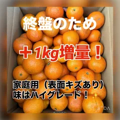 【終盤SALE🍊】種子島タンカン11kg（10kg＋1kg増量）✨
