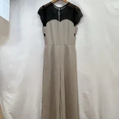 エイミーイストワール ドットチュールオールインワン 1117430405-1 レディース FREE ISItems【USED】【古着】【中古】50116654のサムネイル