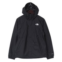ISSEY MIYAKE イッセイミヤケ ブラウス サイズ2 プリーツ加工 プル