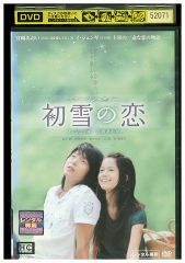 2枚組DVD盤 初雪の恋 ヴァージン・スノー イ・ジュンギ、宮﨑あおい