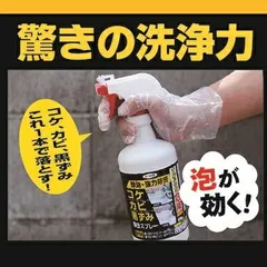 アサヒペンコケ・カビ・黒ずみ除去スプレー800Gのサムネイル