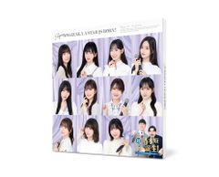 セット】ギャラリーフェイク 全23巻セット (小学館文庫) 細野 不二彦