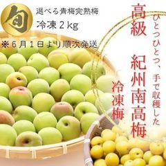 健康稲積青梅 1kg 栽培期間中 農薬不使用 ☆ GI登録種 - メルカリ