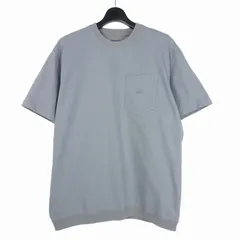 ノースフェイス パープルレーベル THE NORTH FACE PURPLE LABEL High Bulky Pocket Tee ハイバルキーポケットTシャツ カットソー 半袖 L ブルー 青 N25SH056