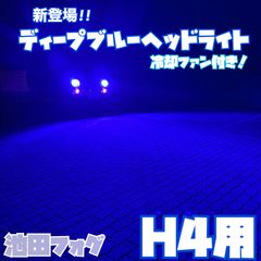 超爆光！HB4 ディープブルー×ホワイト 2色切替 フォグランプ！130W